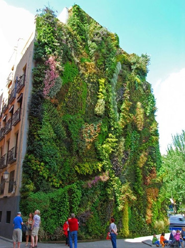 Me man nhung ngoi nha phu cay xanh dep nhu tien canh-hinh-4 Không chỉ tạo nên vẻ đẹp kỳ vĩ, thảm thực vật bên ngoài còn là lớp cách nhiệt cho tòa nhà ở Madrid (Tây Ban Nha).