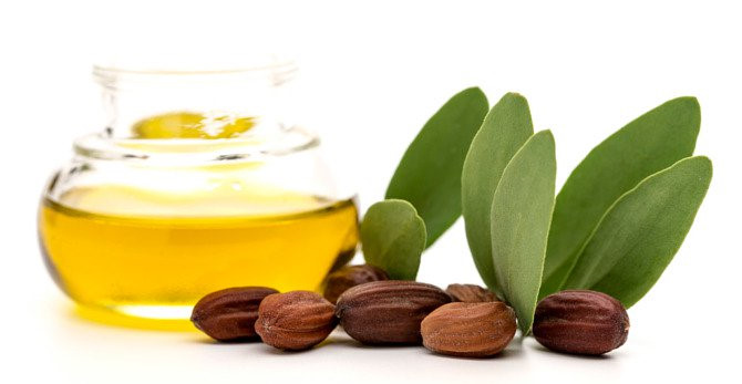 Giống như các loại dầu khác, dầu jojoba có nhiều lợi ích chống oxy hóa và chống viêm. Đây cũng là loại dầu làm đẹp lý tưởng cho mọi loại da kể cả da nhạy cảm và dễ bị mụn trứng cá. Ảnh: vichy-lb.