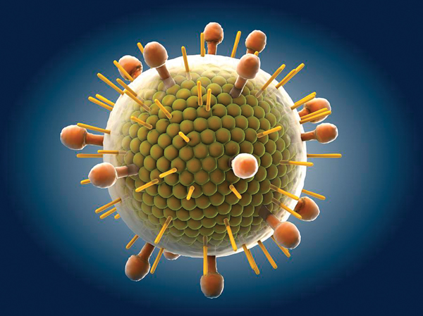 Virút Paramyxovirus