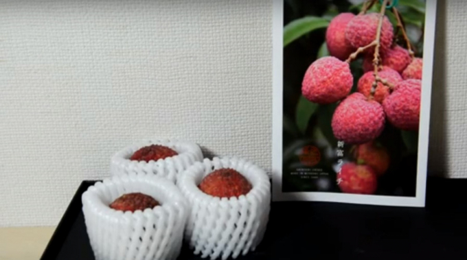 Đây là loại vải không hạt được trồng tại Miyazaki (Nhật Bản) - vùng đất nổi tiếng với nhiều giống trái cây ngon, độc, lạ. Ảnh: Youtube.
