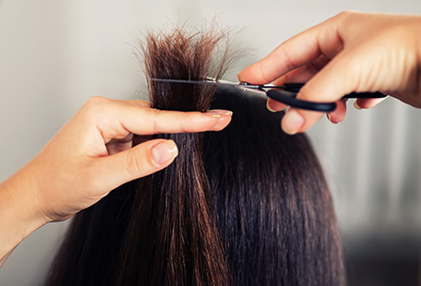 Không tỉa ngọn tóc: Nếu bạn muốn nuôi mái tóc dài và chắc khỏe, điều tốt nhất bạn có thể làm là thường xuyên cắt tỉa ngọn tóc. Việc này loại bỏ đi các phần ngọn tóc bị chẻ, giúp mái tóc trông khỏe mạnh và óng ả. Ảnh: Internet.