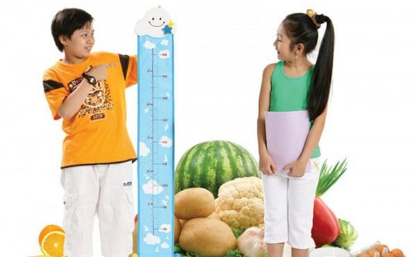 Chế độ ăn đủ cả lượng và chất sẽ giúp trẻ luôn khỏe mạnh và phát triển chiều cao tối ưu (Ảnh minh họa)