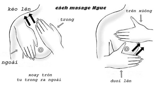 Massage đầu ngực mỗi ngày sẽ giúp mẹ có nhiều sữa hơn (Ảnh minh họa)