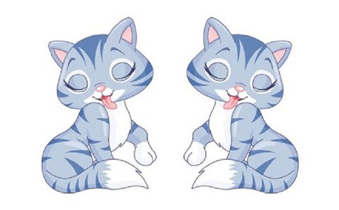 Tuổi Mão: Công việc: công việc thuận lợi, mọi việc hoàn thành xuất sắc. Tài vận: tài chính tốt, có thêm nhiều khoản thu. Tình cảm: ngày có cơ hội gặp được ý trung nhân.