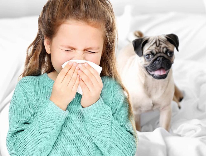 Nên hạn chế tiếp xúc trực tiếp các vật nuôi hay động vật hoang dã
