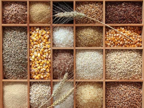 Ngũ cốc nguyên hạt: Các loại ngũ cốc nguyên hạt như gạo nây, quinoa và lúa mì nguyên chất giúp làm giảm nguy cơ mắc bệnh phổi mãn tính và thúc đấy quá trình hô hấp cho cơ thể rất hiệu quả.