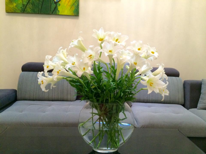 Hoa loa kèn đẹp nhất khi cắm trong các bình đơn giản, một màu. Ảnh: Nguyễn Mỹ Hạnh