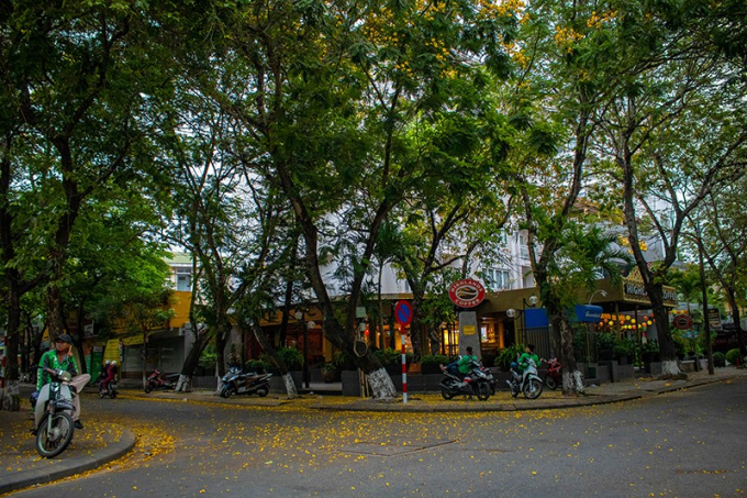 Hoa phượng vàng được trồng dọc các con đường Ngô quyền, Đoàn Thị Điểm, Nguyễn Trãi. Nơi đây thu hút nhiều du khách, cũng như những người yêu nhiếp ảnh tới để thỏa sức sáng tác.