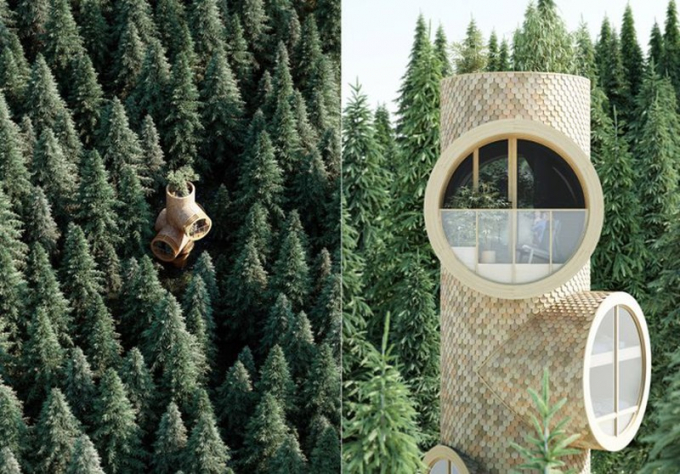 Các nhà thiết kế lên ý tưởng, Bert không chỉ giống một ngôi nhà trên cây mà là chính một cái cây. Ảnh: Precht.
