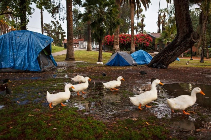 Những căn lều tạm ở Echo Park Lake, nơi có những số phận đang giành giật sự sống mỗi ngày. (Ảnh: Rachel Bujalski/New York Times)