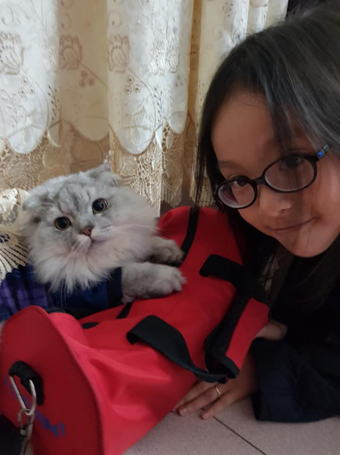 Chú mèo nhỏ là bạn thân của Chuột Con khi cô bé ở nhà một mình.