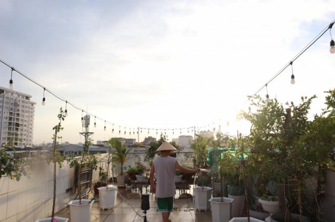 Mỗi ngày anh đều đặn tưới hoa vào buổi sáng và chiều muộn cho cả vườn hồng.