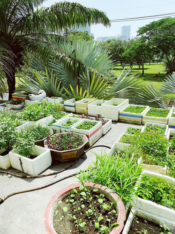 Đáng chú ý, ông xã Bảo Thy còn bố trí một góc riêng trên tầng hai căn biệt thự để