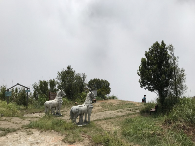 Bức tượng hai chú ngựa tạc bằng đá trắng ngay lối đi chính diện dẫn vào Vọng Cảnh Đài.