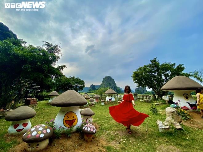 Khu vườn nấm - địa danh mới nổi ở Ninh Bình