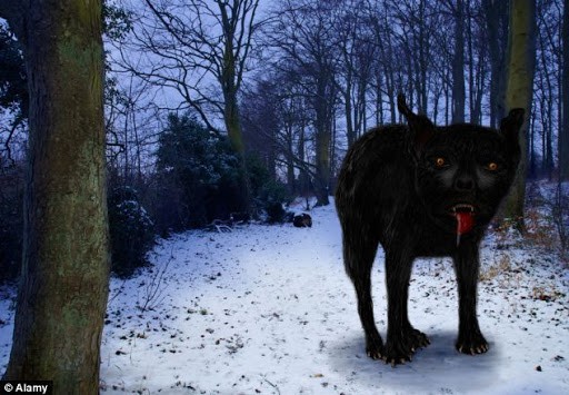 Chó ma Black Shuck thường đi đơn độc tại dọc những con đường tối ở Norfolk, Suffolk.