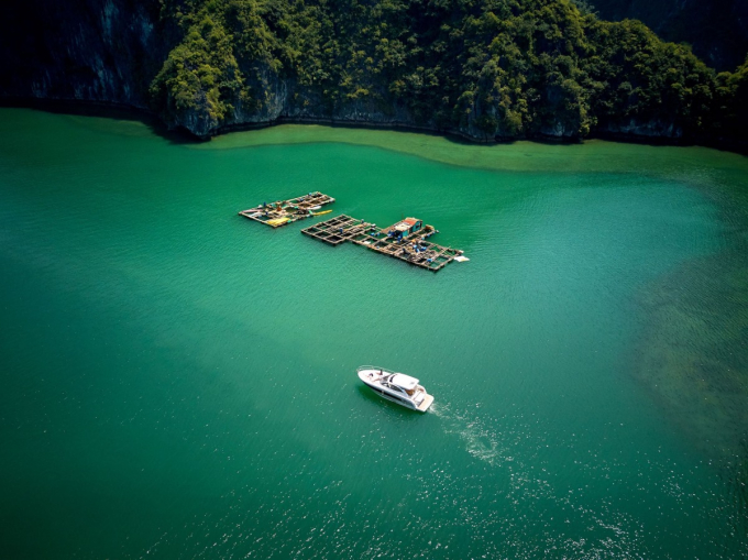 Hàng nghìn đảo đá lớn, nhỏ mọc lên từ mặt nước xanh ngọc biếc tạo ra một bức tranh thủy mặc khổng lồ. Đây là vẻ đẹp riêng biệt của thiên nhiên dành cho Hạ Long mà không địa danh nào có được.
