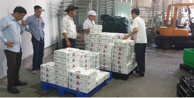 Lô hàng 2 tấn vải thiều tươi của tỉnh Bắc Giang đã tới Nhật Bản an toàn trong ngày 20/6. (Ảnh: nongnghiep.vn)