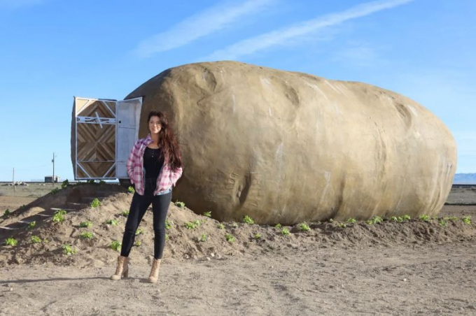 2. Căn nhà khoai tây. Giống như một củ khoai tây, homestaynày được xây dựng trên một trang trại khoai tây tại tiểu bang Ihado thuộc miền Tây Bắc nước Mỹ. (Ảnh: Airbnb)