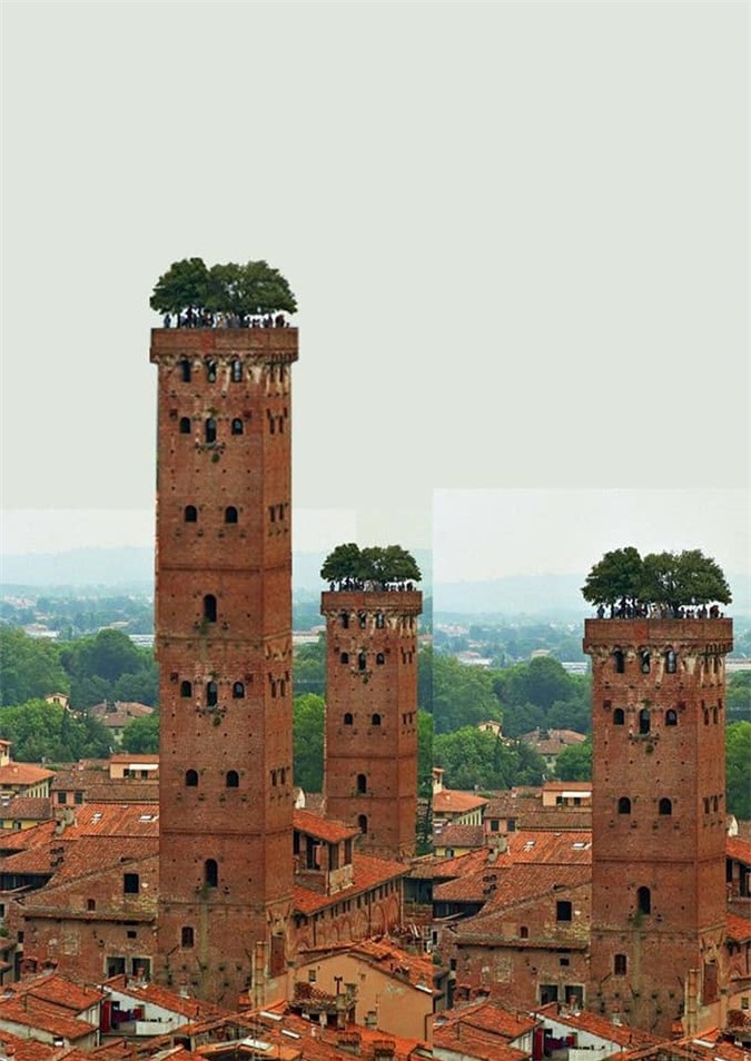 Tháp Guinigi (Torre Guinigi) - tòa tháp thời trung cổ có những cây sồi trên đỉnh tháp.