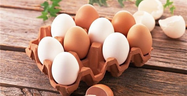 Collagen được tìm thấy trong màng vỏ và lòng đỏ trứng gà. Trứng gà chứa những chất dinh dưỡng thức đẩy sản sinh collagen như vitamin B, E, axit amin và lưu huỳnh. Ảnh minh họa: Internet