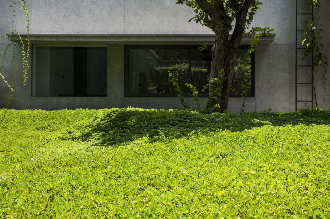 Với ý thức tôn trọng tuyệt đối sự tự nhiên, thảm cây xanh hoa vàng được giữ lại quanh nhà, tạo nên cảnh quan đẹp mắt.