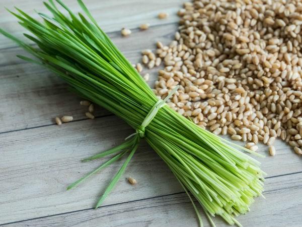 Cỏ lúa mì: Cỏ lúa mì chứa các amino axit, vitamin, khoáng chất và nhiều enzim quan trọng giúp phòng ngừa ung thư. Chuyên gia cho rằng cỏ lúa mì có tác dụng chống lại tế bào ung thư biểu bì.