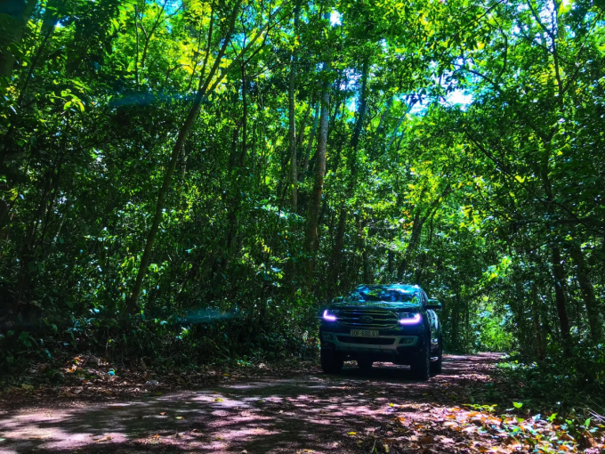 Cảm giác lái xe trên con đường xuyên qua khu rừng là một trải nghiệm đáng nhớ. Không khí trong lành và cỏ cây mướt mát khiến tâm hồn sảng khoái, thú vị