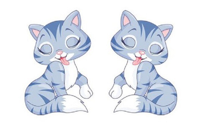 Tuổi Mão: Hôm nay tài vận của họ không tốt lắm, vì quá tự tin nên để tổn thất một khoản tiền nhỏ. Lời khuyên dành cho bạn là đừng quá kích động, dục tốc bất đạt. Hãy làm lại vào ngày hôm sau.