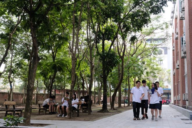 Không gian xanh mát tại trường PTTH Lương Thế Vinh, Hà Nội – một trong nhiều ngôi trường trên cả nước mà “Quỹ 1 triệu cây xanh cho Việt Nam” đã trao tặng cây xanh.
