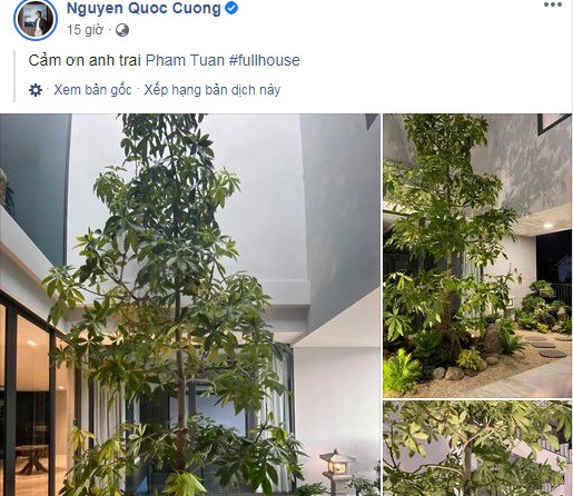 Cách ít giờ, trên trang cá nhân, Cường Đô La tiết lộ thiết kế tiểu cảnh trong nhà với nhiều cây xanh đẹp mắt. Ảnh chụp màn hình.