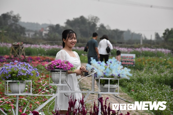 Trong khuôn viên Thung lũng hoa Yên Tử được bài trí rất nhiều chiếc xe đạp chở hoa để làm điểm chụp ảnh cho du khách.