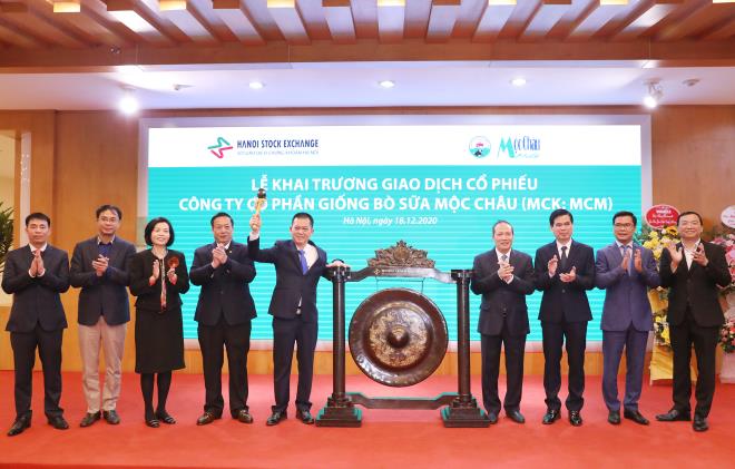 Tổng Giám đốc Công ty Mộc Châu Milk thực hiện nghi thức đánh cồng, chính thức khai trương giao dịch cổ phiếu MCM trên sàn UPCOM.