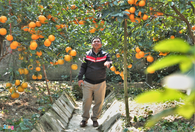 Toàn xã Nghi Diên còn khoảng 40 hộ trồng cam Xã Đoài với hơn 10.000 gốc, trên diện tích 17 ha. Trong đó, hơn 8 ha là các hộ dân trồng nhỏ lẻ tại vườn nhà. Những năm gần đây, cam Xã Đoài có giá mỗi quả 70.000 - 100.000 đồng.