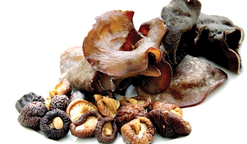 Trong nấm hương có nhiều chất cellulose thúc đẩy vị tràng co bóp, phòng bí đại tiện, giảm bớt sự hấp thu cholesterol của tiểu tràng. 