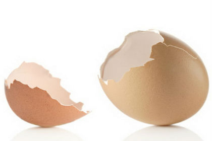 Vỏ trứng gà được dùng dưới hai dạng: vỏ trứng sống và vỏ đã ấp nở con - ảnh minh họa