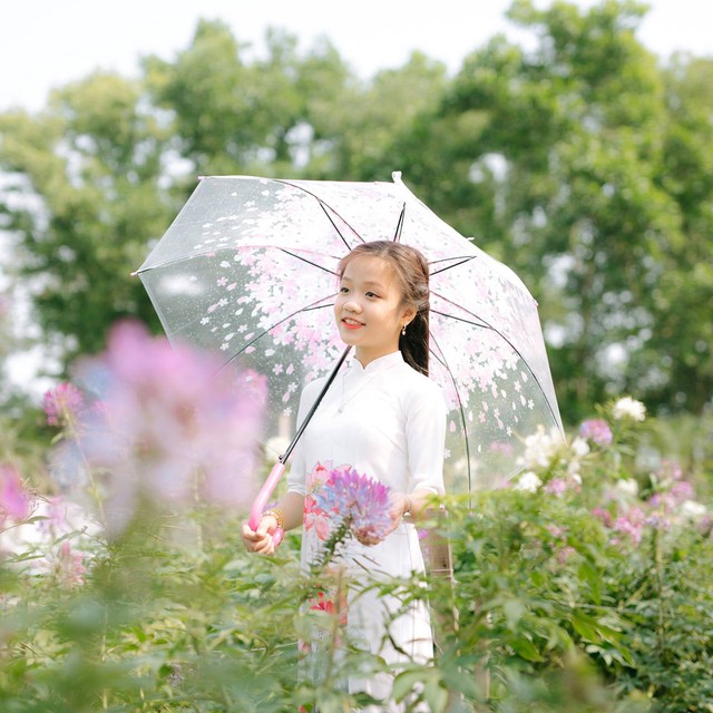 Sự ra đi của Đặng Tú Thanh để lại nhiều tiếc nuối cho khán giả
