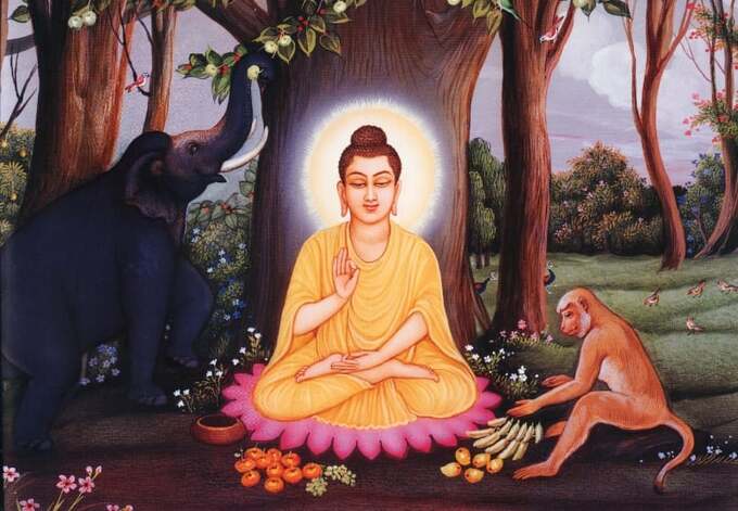 “Sự khiêm tốn có giá trị như cái bóng loáng của bức tranh, nó nổi bật lên và hùng dũng”. Cho nên Phật tổ dạy: “Hãy thắng người hơn mình bằng đức tánh khiêm cung.” Ảnh minh họa