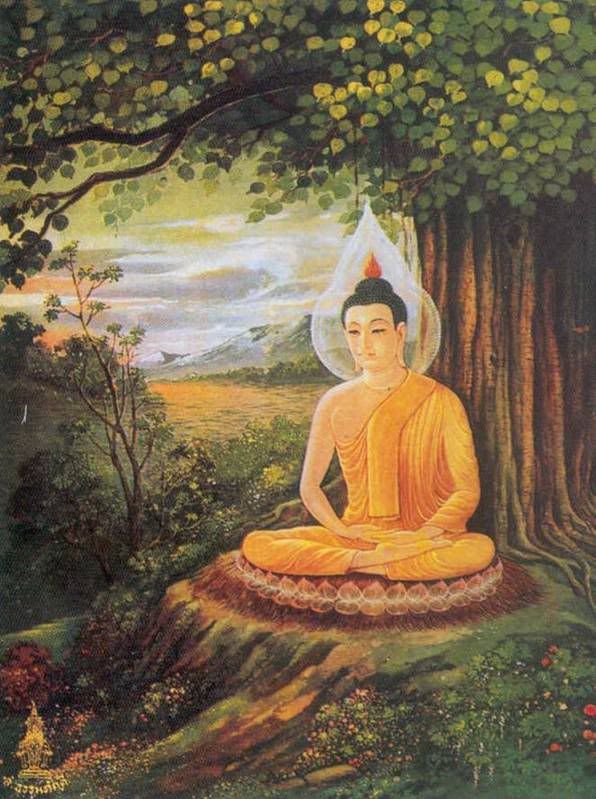 Đức Phật thiền định dưới cội cây