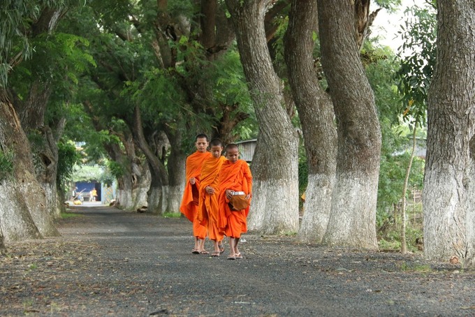 Ảnh minh họa.