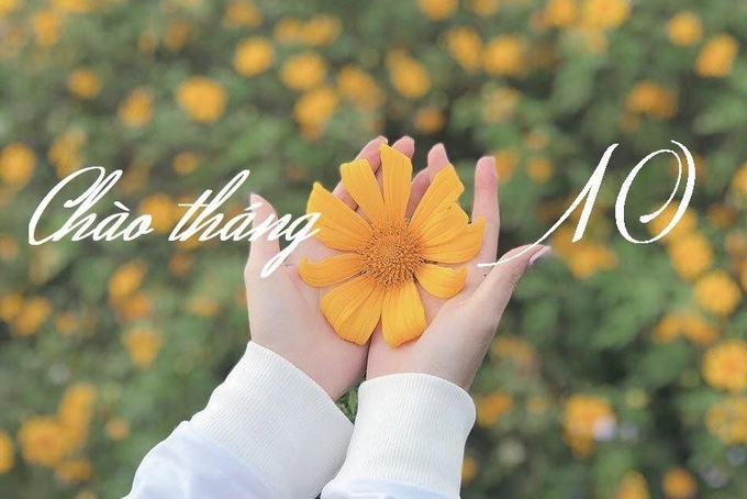 Nhìn Phật, ngắm mình. Cuộc sống vốn vậy, luôn trôi lăn, vô thường, quan trọng là ta đối ứng với những sự những việc mình gặp như thế nào