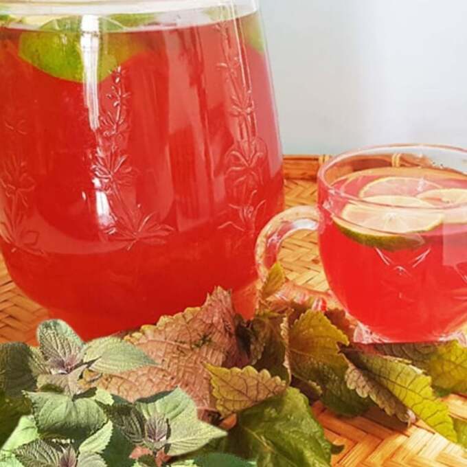 Nước tía tô giúp làm sạch mụn