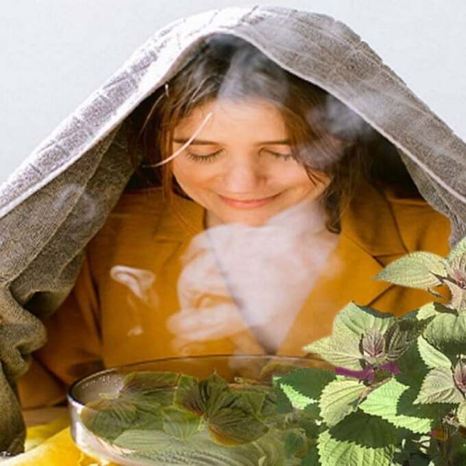 Xông mặt bằng lá tía tô giúp làm đẹp da sạch mụn