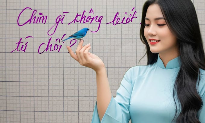 Chim gì không bao giờ biết từ chối?