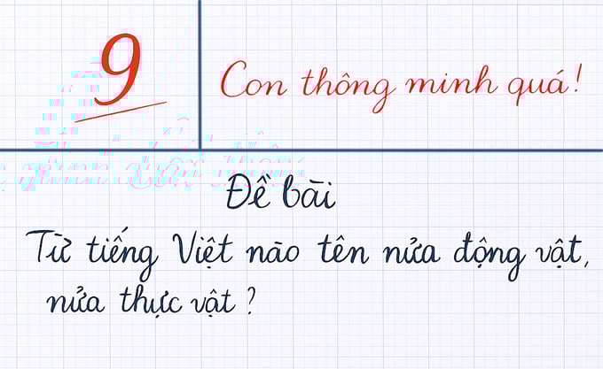 Từ tiếng Việt nào tên nửa động vật, nửa thực vật? Ảnh minh họa.