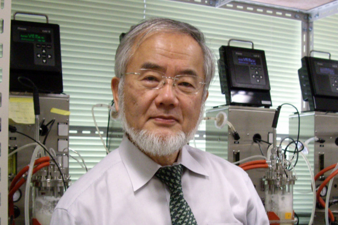 Giáo sư Yoshinori Osumi (Ảnh: wsj.com)