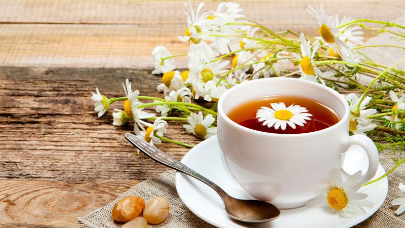 Hoa cúc có tác dụng rất tốt cho những người mắc chứng mất ngủ. Một tách trà hoa cúc trước khi lên giường sẽ giúp bạn có giấc ngủ ngon và sâu hơn hẳn. 