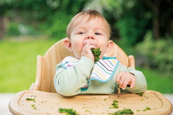 Trẻ từ 8 tháng tuổi có thể giới thiệu một loại rau gia vị. Ảnh: Cgbabyclub