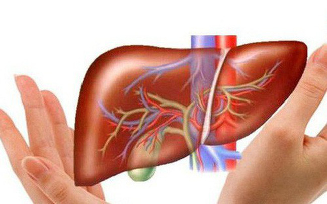Nên uống nước tầm bóp để hỗ trợ hoạt động đào thải độc tố của gan cũng như ngăn ngừa ung thư gan - Ảnh minh họa: Internet