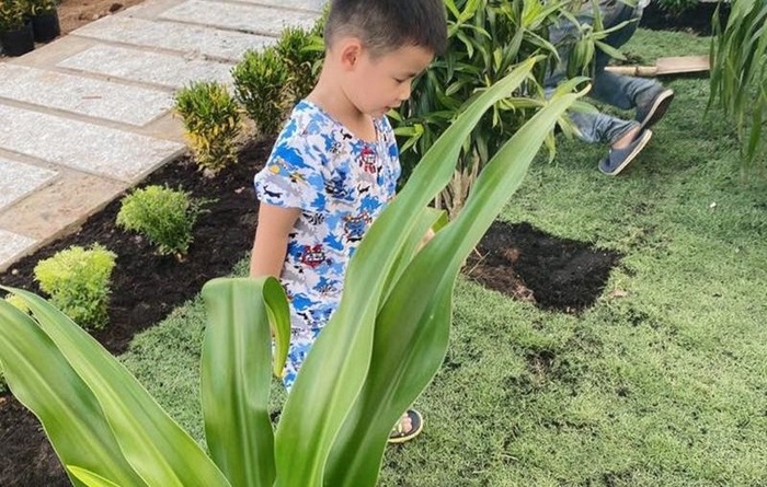 Phía ngoài, vợ Đăng Khôi dự định sẽ trồng nhiều cây, hoa.